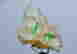 item-131531849=5