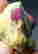 item-131531855=2