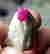 item-131531861=2