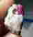 item-131531861=6