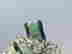 item-131531868=3