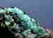 item-131531871=5