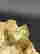 item-131532029=4