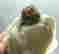 item-131532054=4
