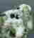 item-131532057=3