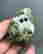 item-131532057=7