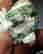 item-131532061=5