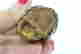 item-131651370=10