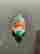 item-131651380=5