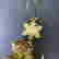 item-131651398=6
