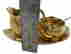 item-131651400=4
