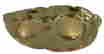 item-131651400=9