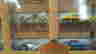 item-131651464=7