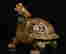 item-131651589=6