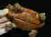 item-131651589=9