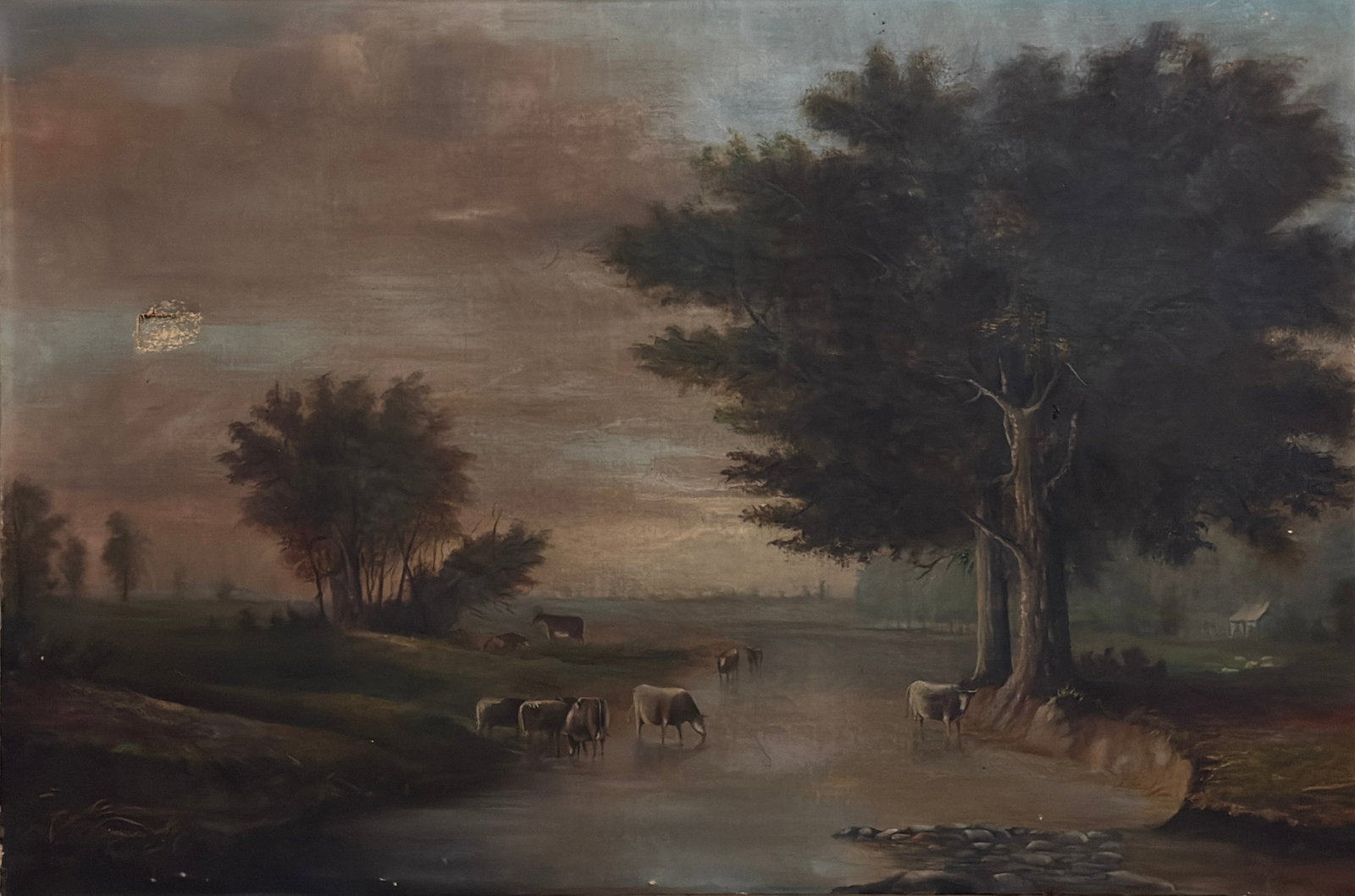 19th Century American School: 19th Century American School Oil on canvas, measures . Landscape painting featuring cows near a body of water. Measures 20 x 30 inches.