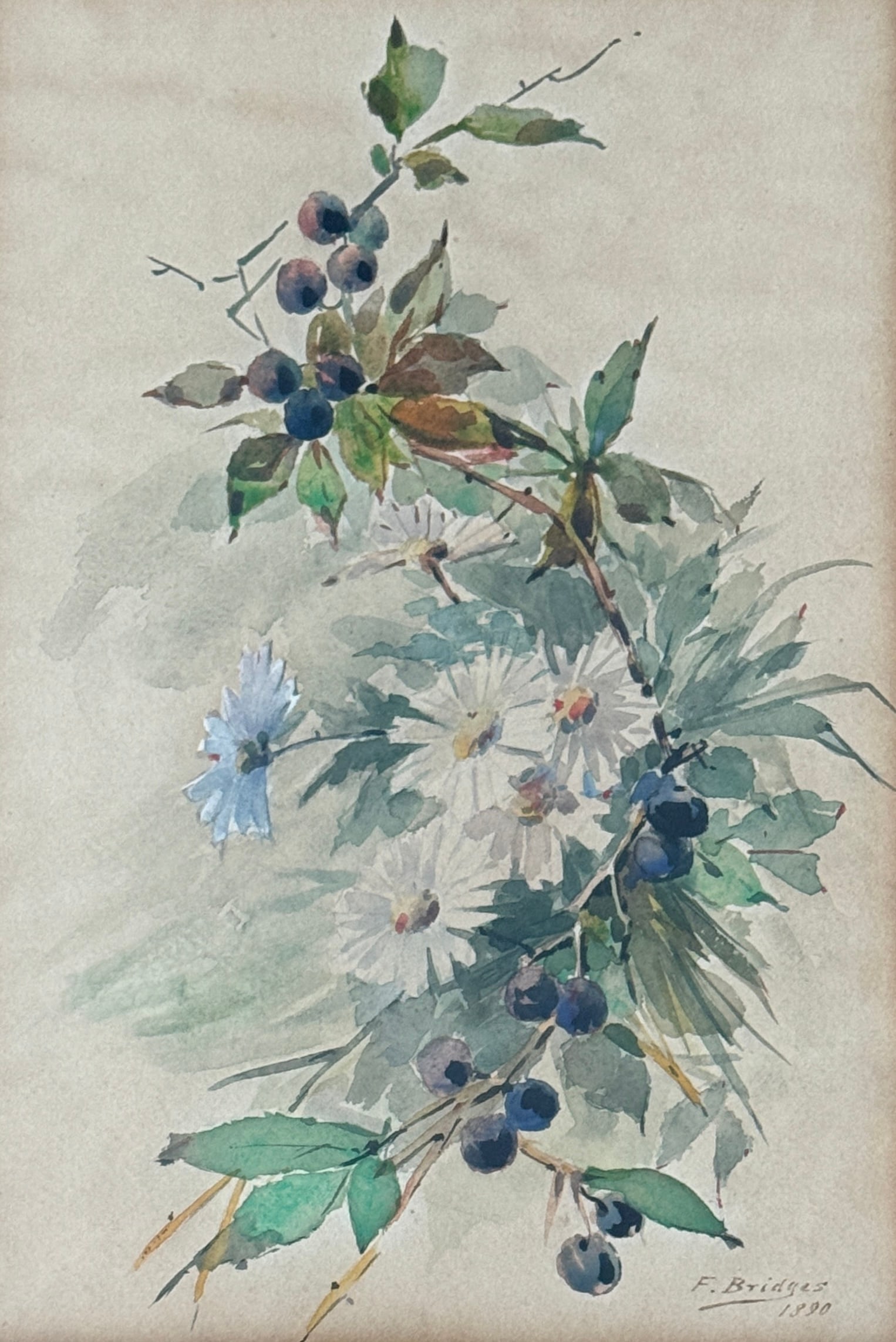 Fidelia Bridges (1834 - 1923) American (1 of 3)