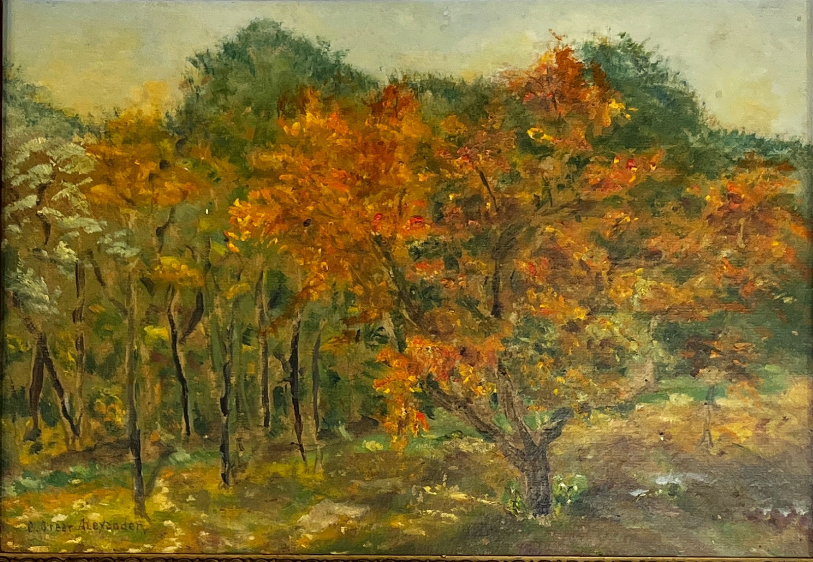 Clifford Grear Alexander (1870 - 1954) American (1 of 3)