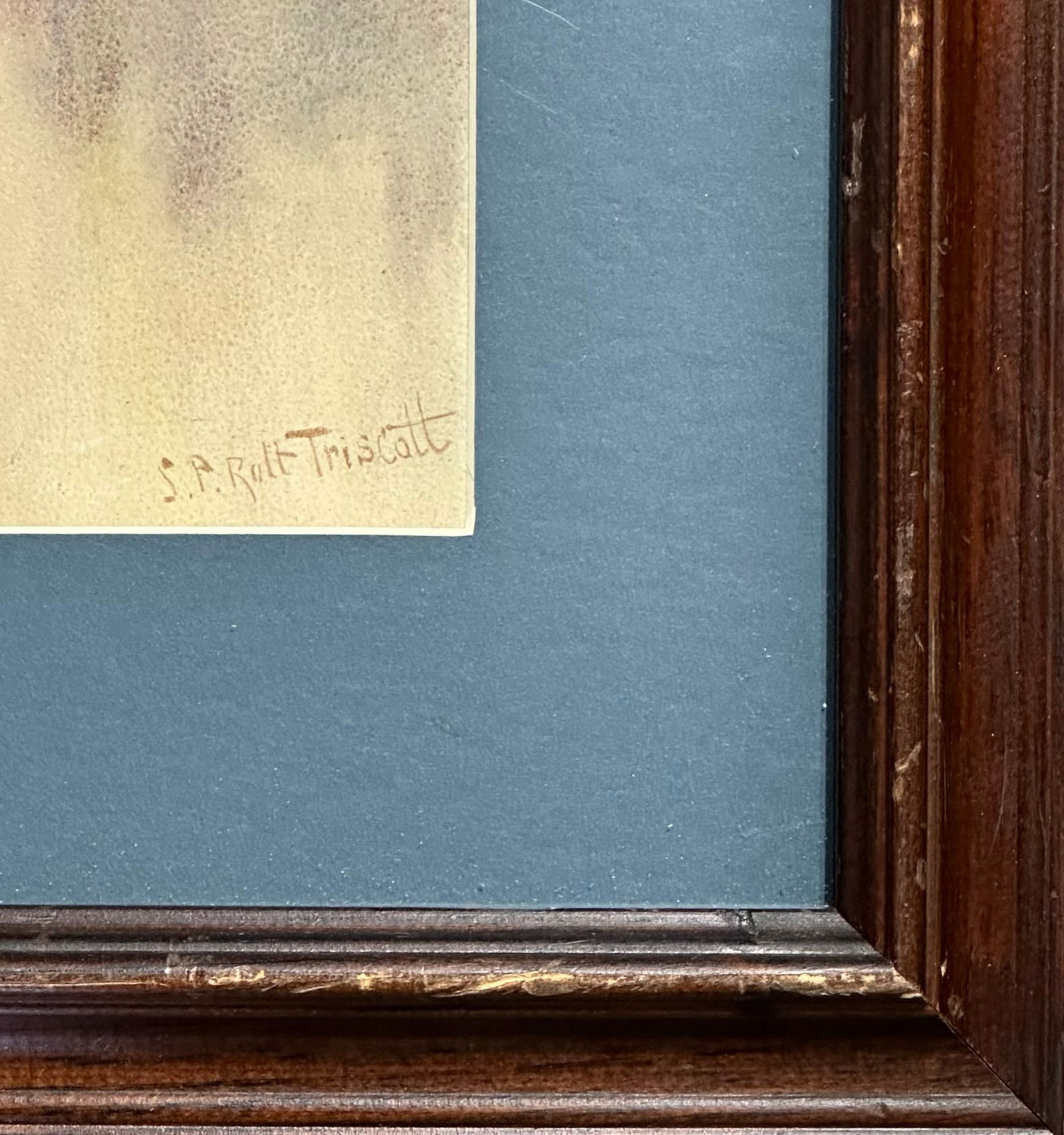 Samuel Peter Rolt Triscott (1846 - 1925) - 3