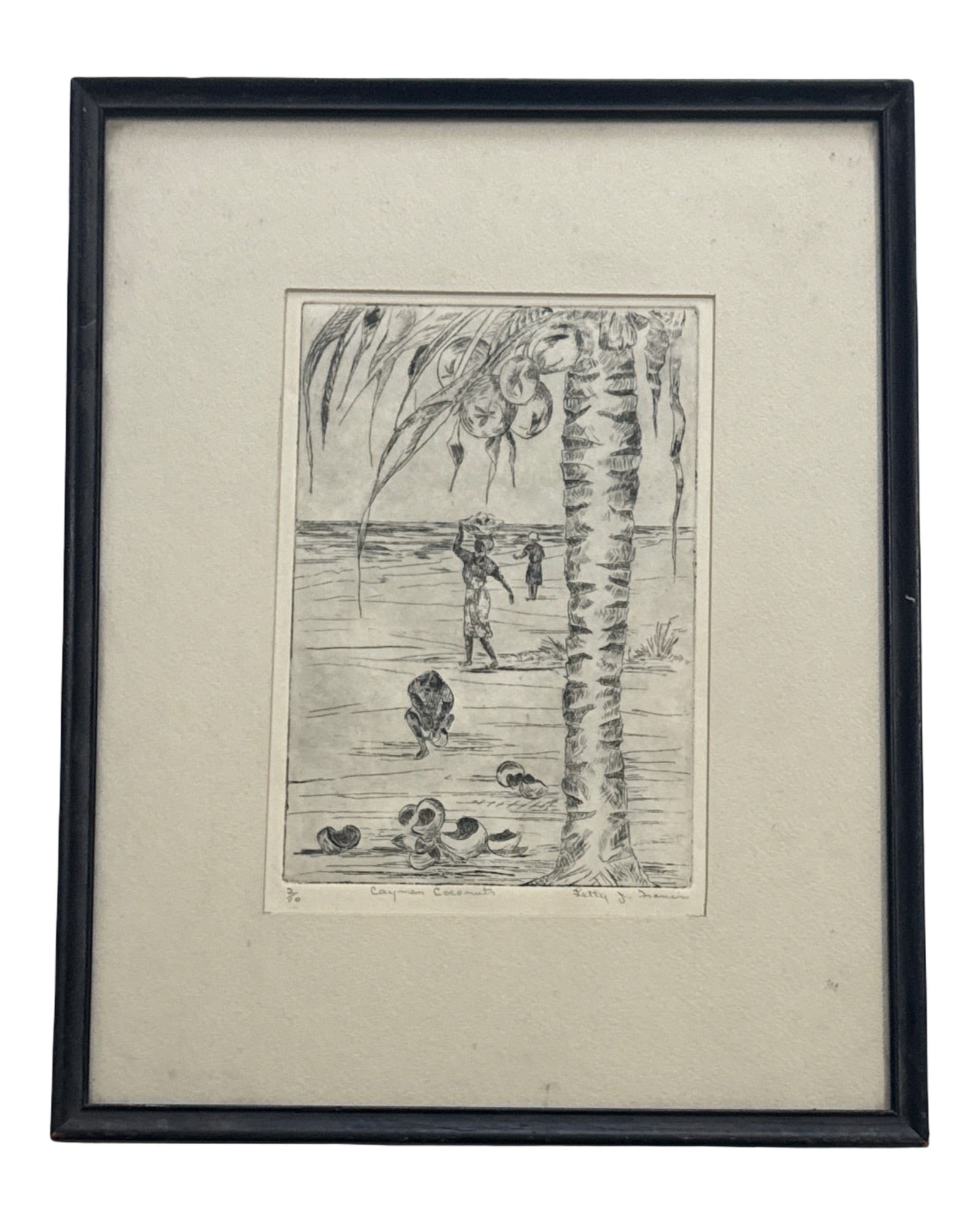 Letty Jones Francis Etching "Cayman Coconuts" - 2