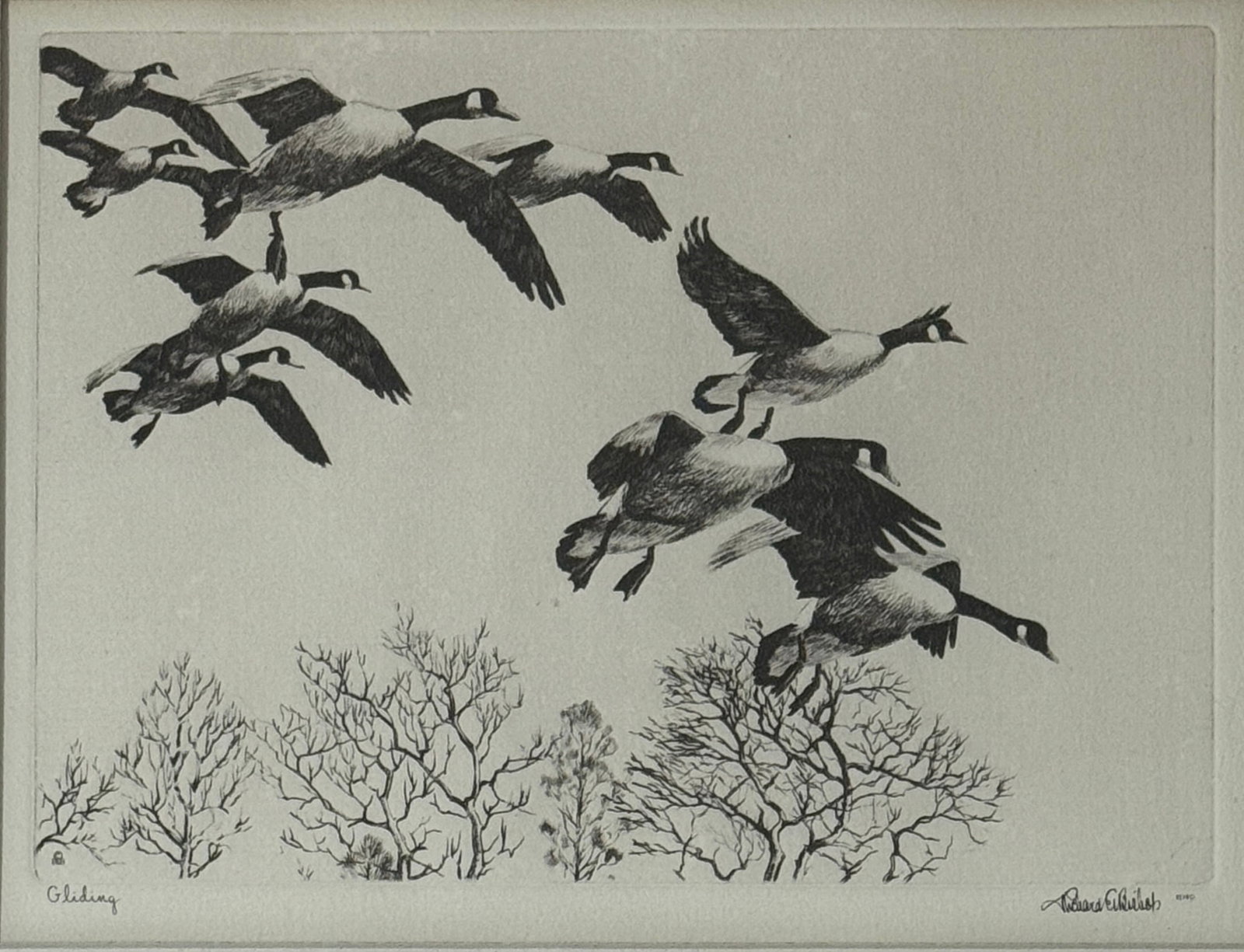 Richard Evett Bishop (1887 - 1975) Gliding: Richard Evett Bishop (1887 - 1975) Gliding, print repro, measures 9 x 11 and 15 x 17 inches w/frame. Richard Evett Bishop was an etcher and painter of wildlife subjects, particularly ducks and geese.