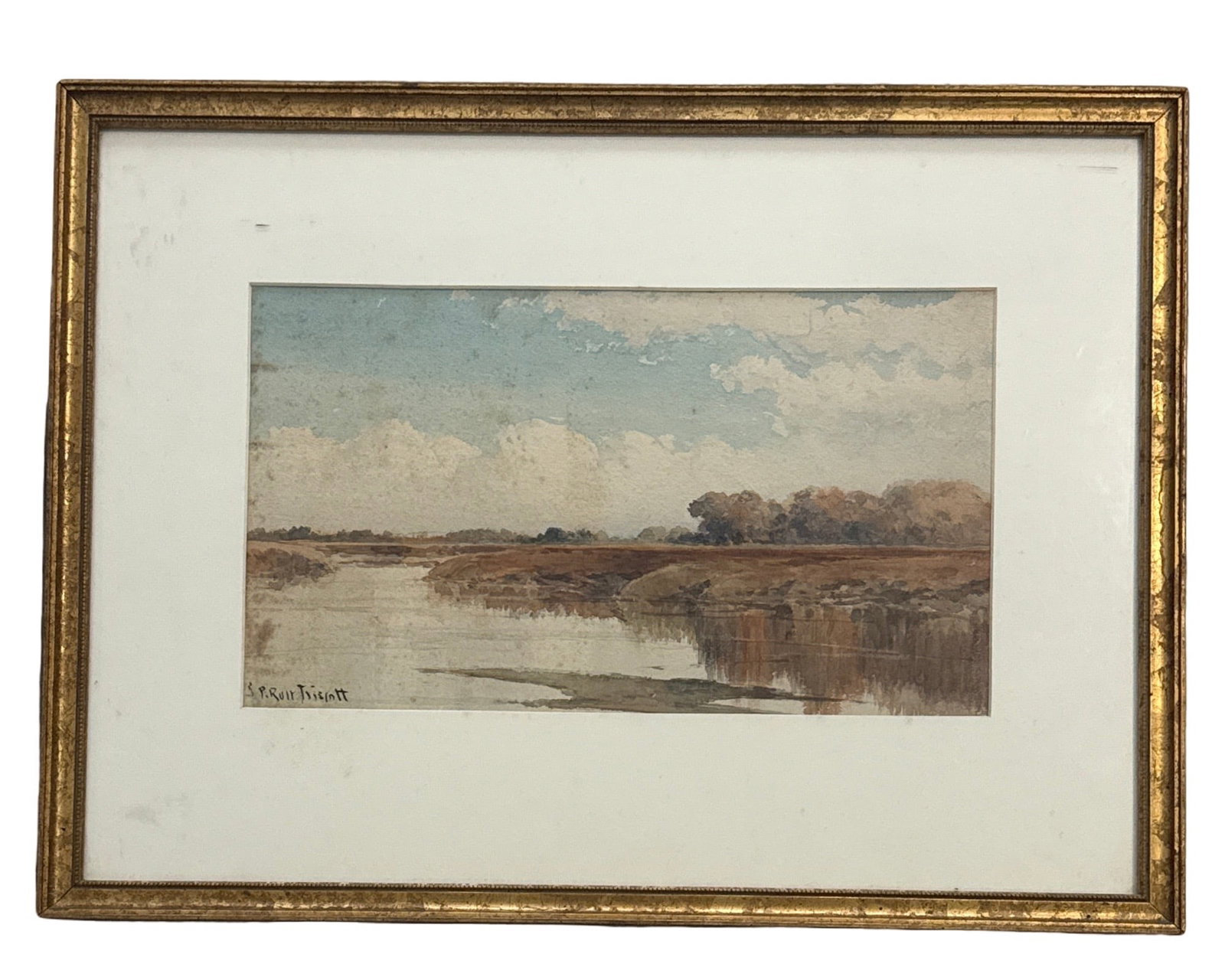 Samuel Peter Rolt Triscott (1846 - 1925) - 2