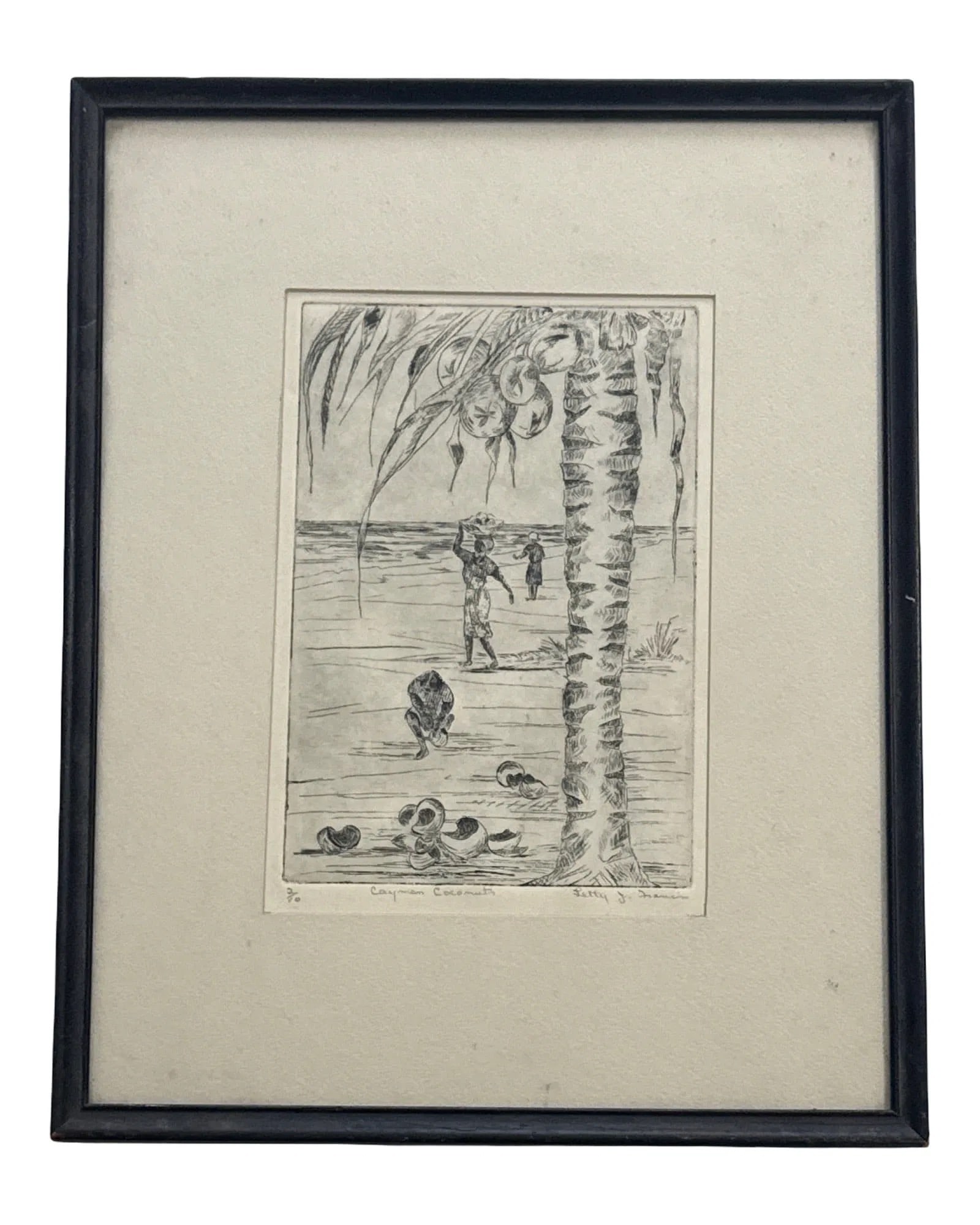 Letty Jones Francis Etching "Cayman Coconuts" - 2