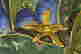 item-131024675=3