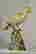 item-131024675=5