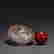 item-131024755=9
