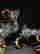 item-131024942=8