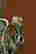 item-131024956=5