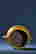 item-132784421=7