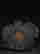item-134686110=9