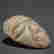 item-137056050=6