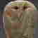 item-137056050=8