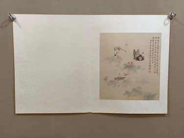 Picture of a small impatiens butterfly