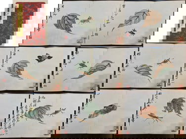 Boutique Qi Baishi grass insect old album