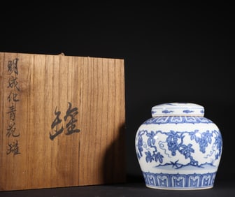 A piece of Ming Dynasty Chenghua blue and white grape pattern Tianzi jar