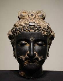 Sheet stone carving of the head of the Buddha of Gandhara