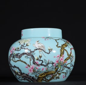 An Exquisite Qing Dynasty Yongzheng turquoise green pastel flower and bird jar
