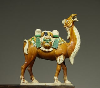 A piece of Tang Sancai camel