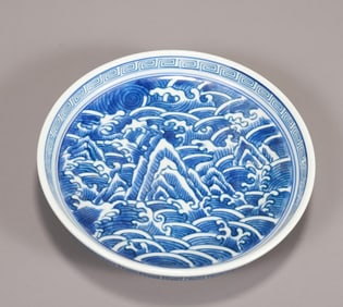 A beautiful blue and white seawater pattern appreciation plate
