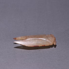 An ancient cicada of the Ming Dynasty