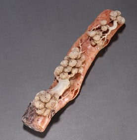 A beautiful Shoushan stone carved pine tree pattern ruler