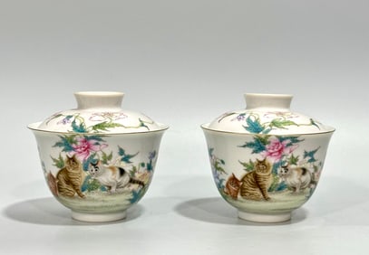 A pair of Qing Qianlong pastel old man picture cover bowls