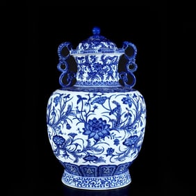 A Qing Dynasty Yongzheng blue and white entwined water grass pattern double dragon ear lid jar