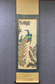 A peacock picture of Jincheng