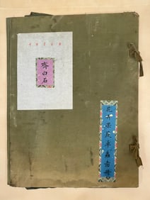 A book of flowers and insects by Qi Baishi