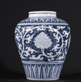 A Ming Dynasty Yongxuan blue and white passionflower pattern jar